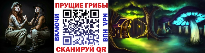 OMG вход  Пудож  Псилоцибиновые грибы мухоморы 